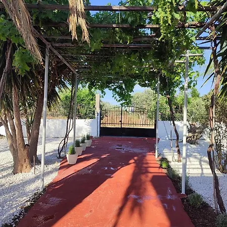Tatil Evi Akrokorinthos View House