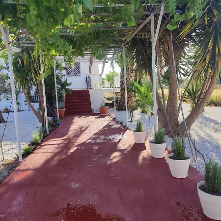 Akrokorinthos View House Tatil Evi Corinth